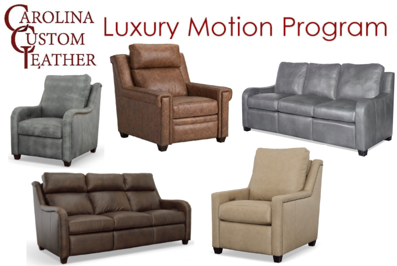 An application scenario or product detail of carolina custom leather - Image 23