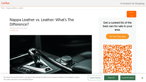 Copilot Search - Nappa Leather Guide