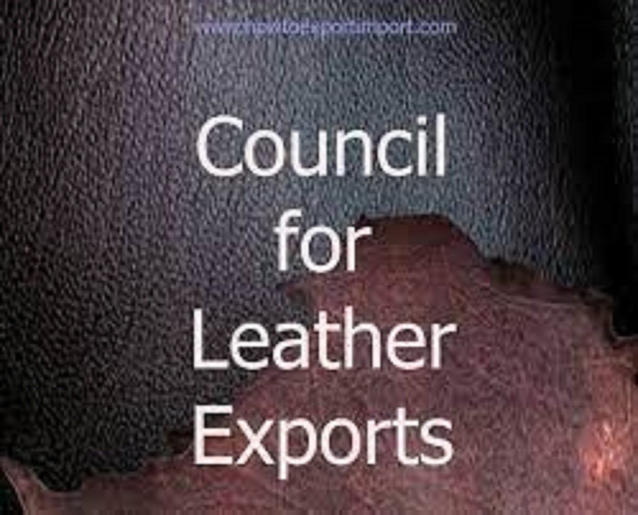 An application scenario or product detail of council for leather exports - Image 15