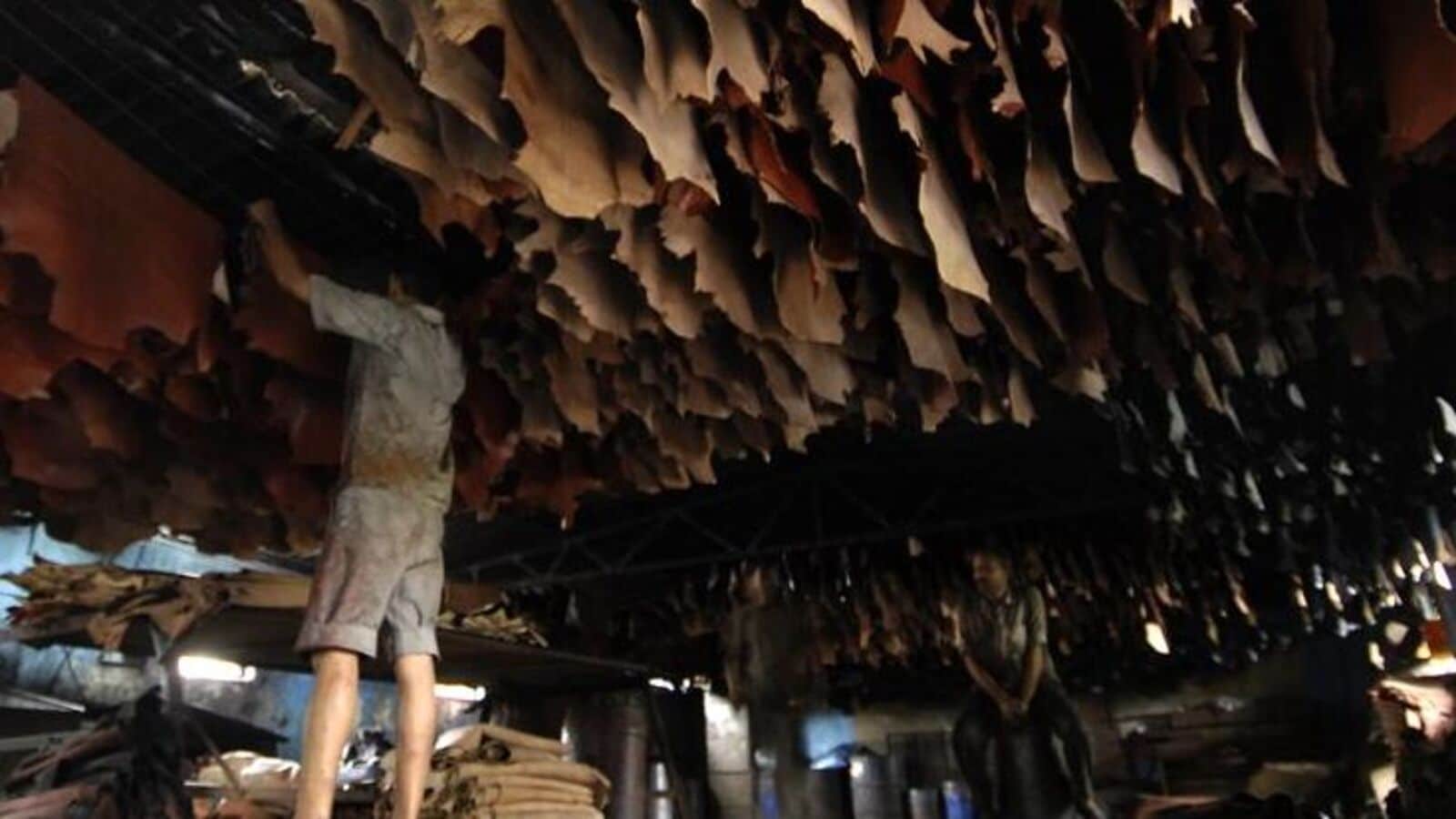 An application scenario or product detail of council for leather exports - Image 20