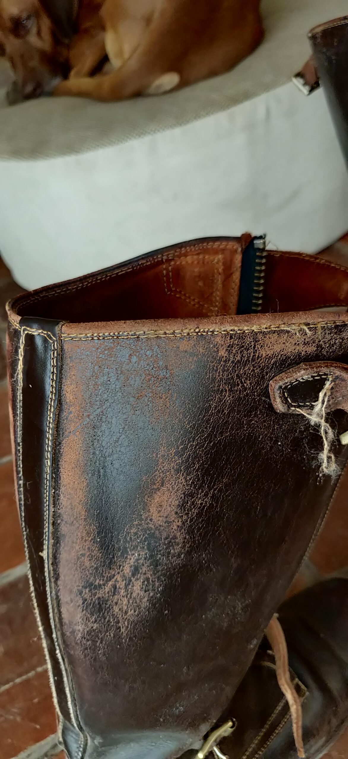 An application scenario or product detail of cracked leather - Image 13