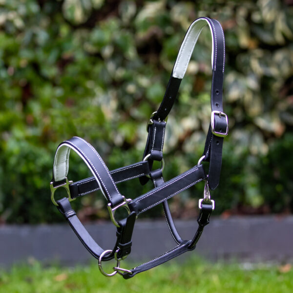 An application scenario or product detail of custom halters for horses leather - Image 15