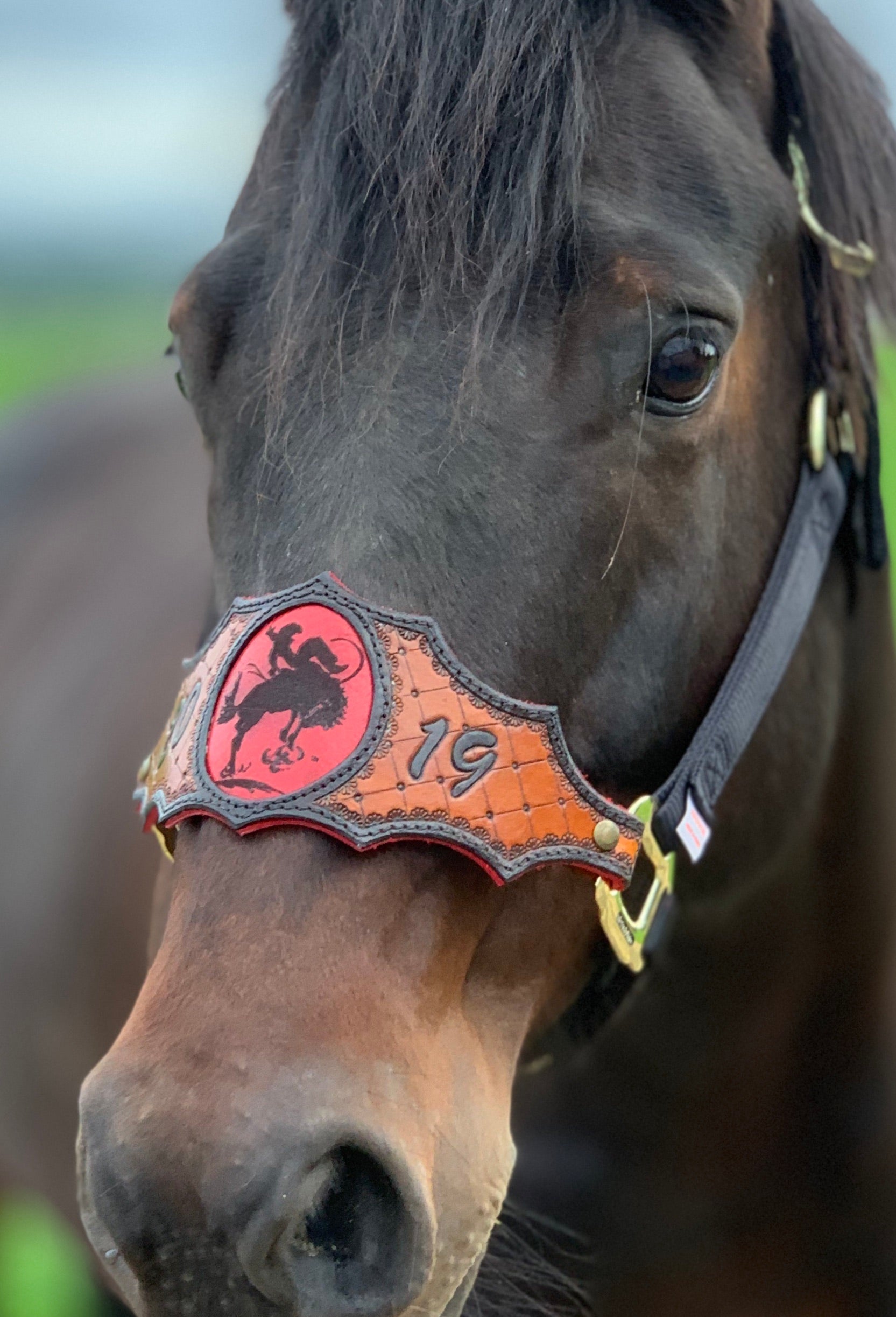 An application scenario or product detail of custom halters for horses leather - Image 17
