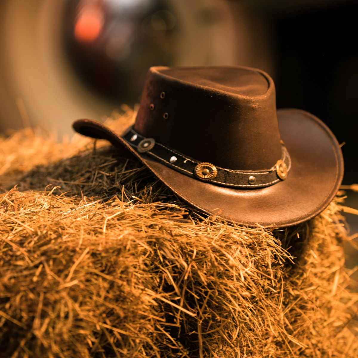 An application scenario or product detail of custom leather cowboy hats - Image 15