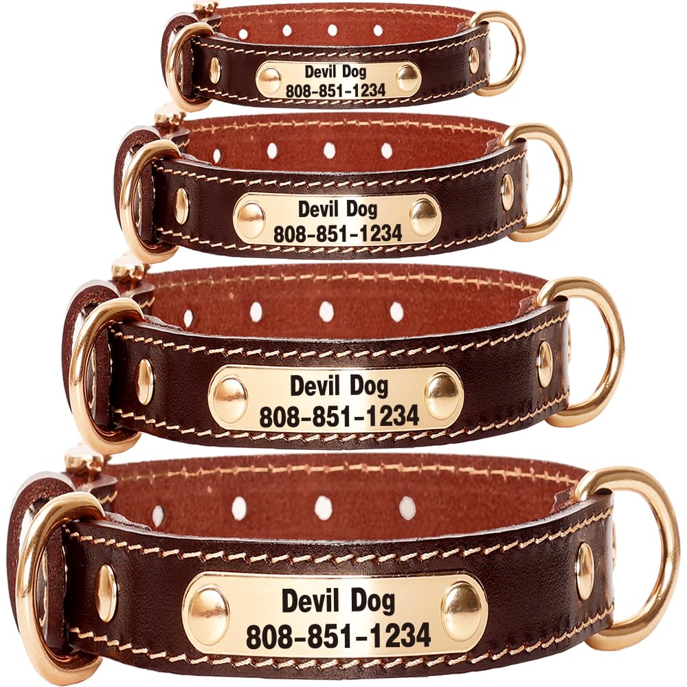 An application scenario or product detail of custom leather dog collars with name - Image 8