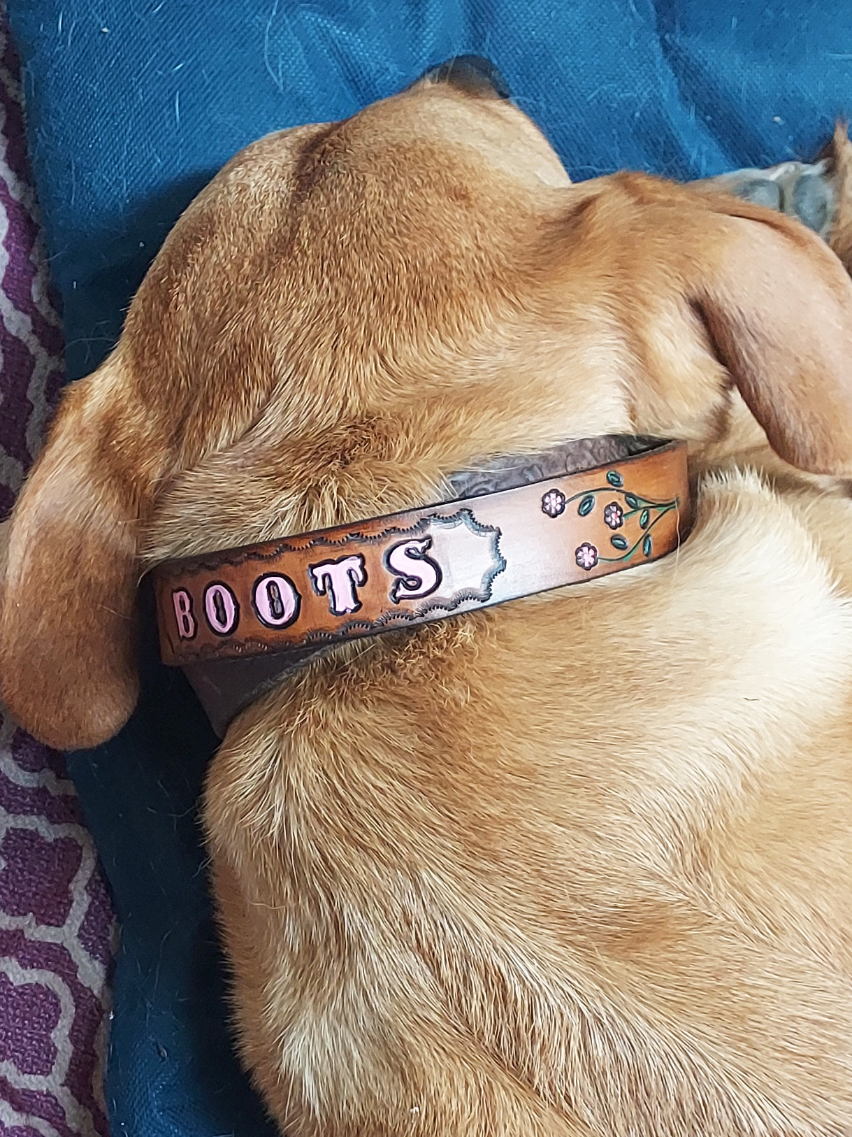 An application scenario or product detail of custom leather dog collars with name - Image 13
