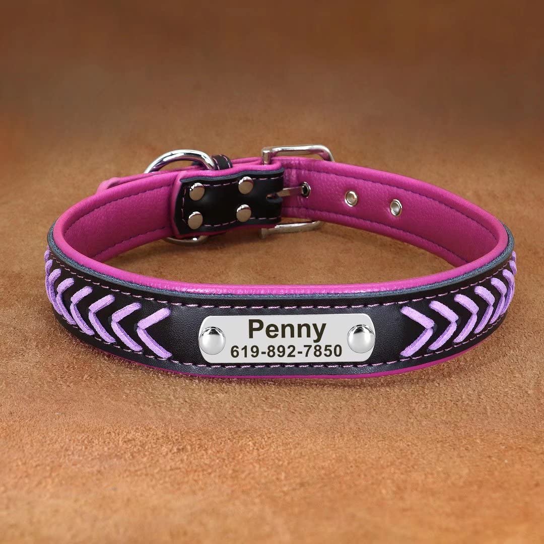 An application scenario or product detail of custom leather dog collars with name - Image 15