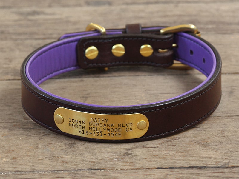 An application scenario or product detail of custom leather dog collars with name - Image 22