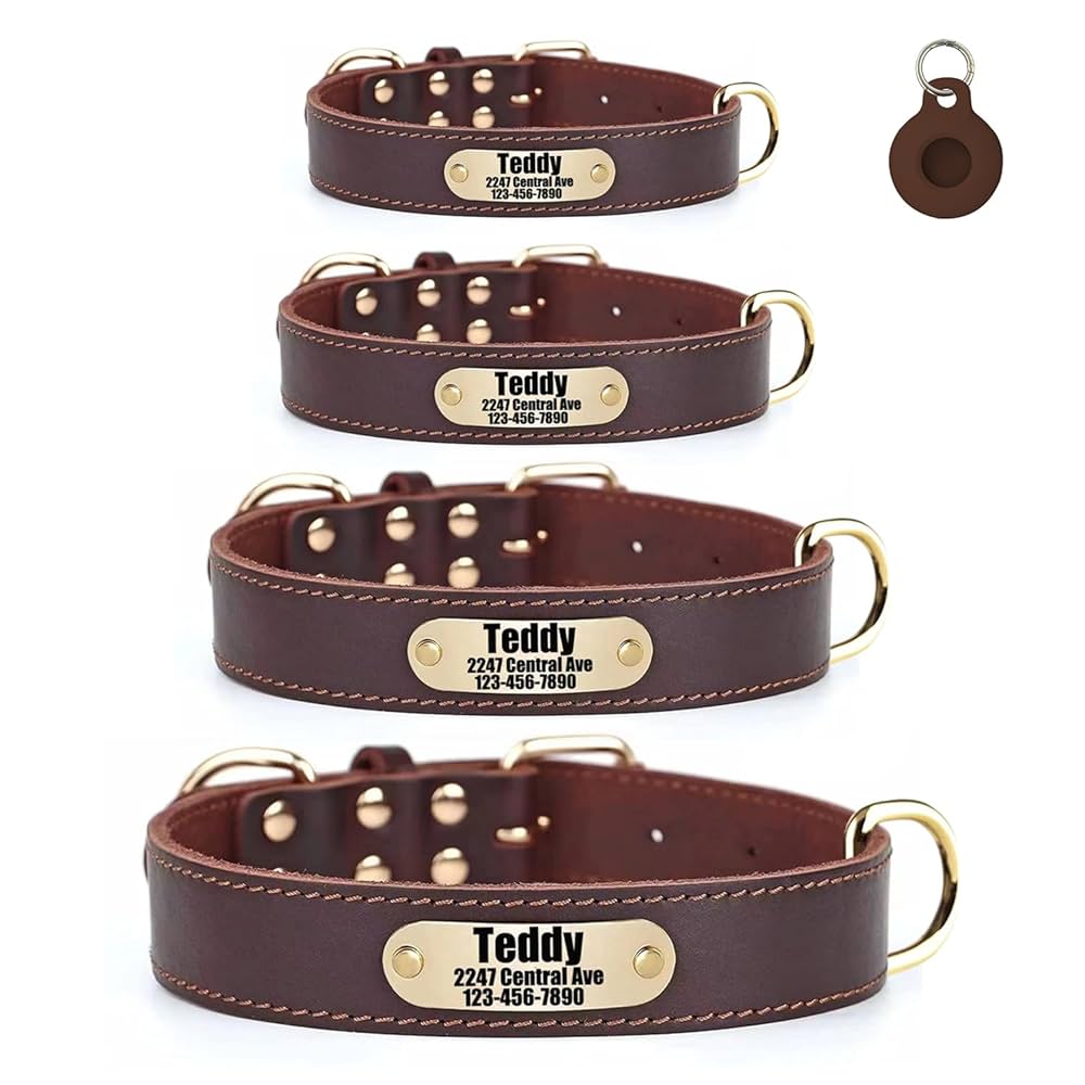An application scenario or product detail of custom leather dog collars with name - Image 23