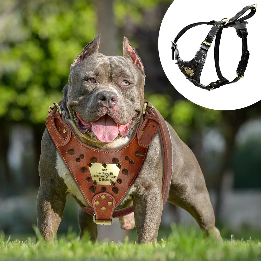 An application scenario or product detail of custom leather dog harness - Image 1
