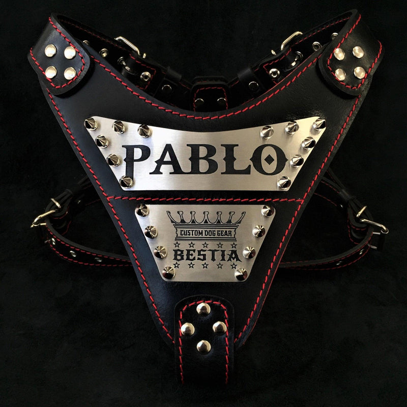 An application scenario or product detail of custom leather dog harness - Image 3