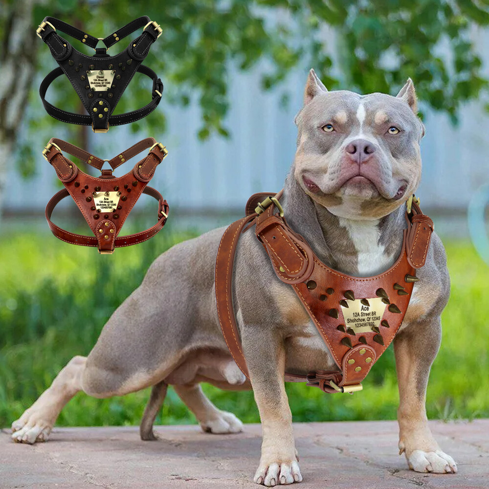 An application scenario or product detail of custom leather dog harness - Image 6