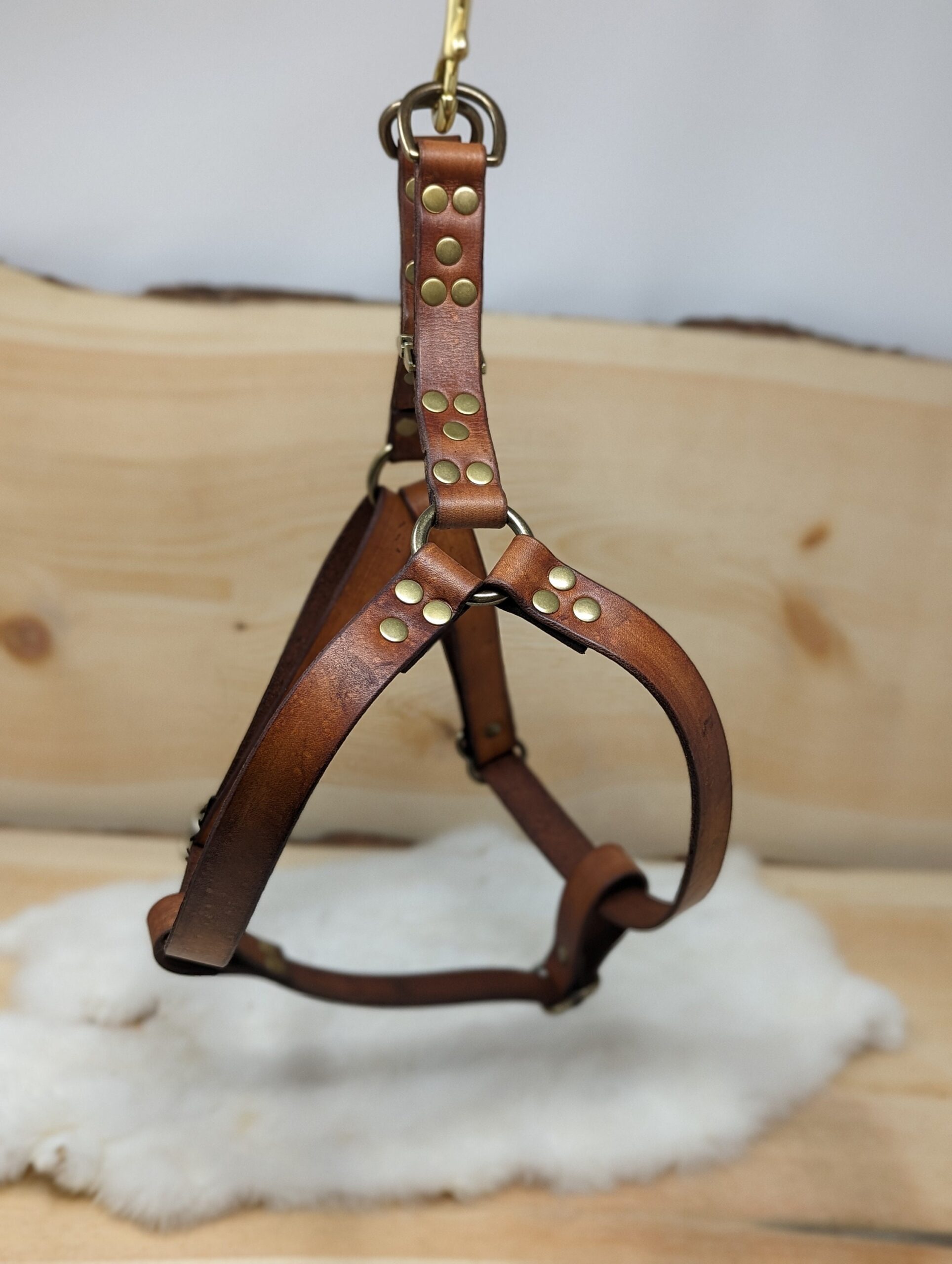 An application scenario or product detail of custom leather dog harness - Image 9