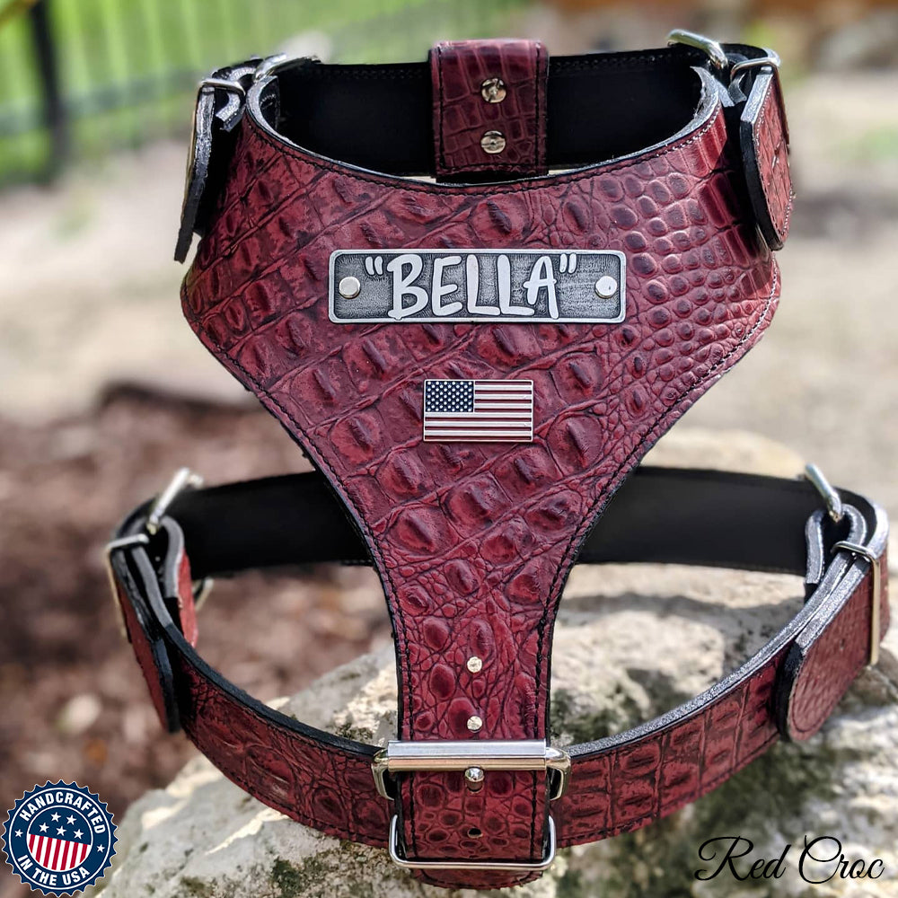 An application scenario or product detail of custom leather dog harness - Image 11