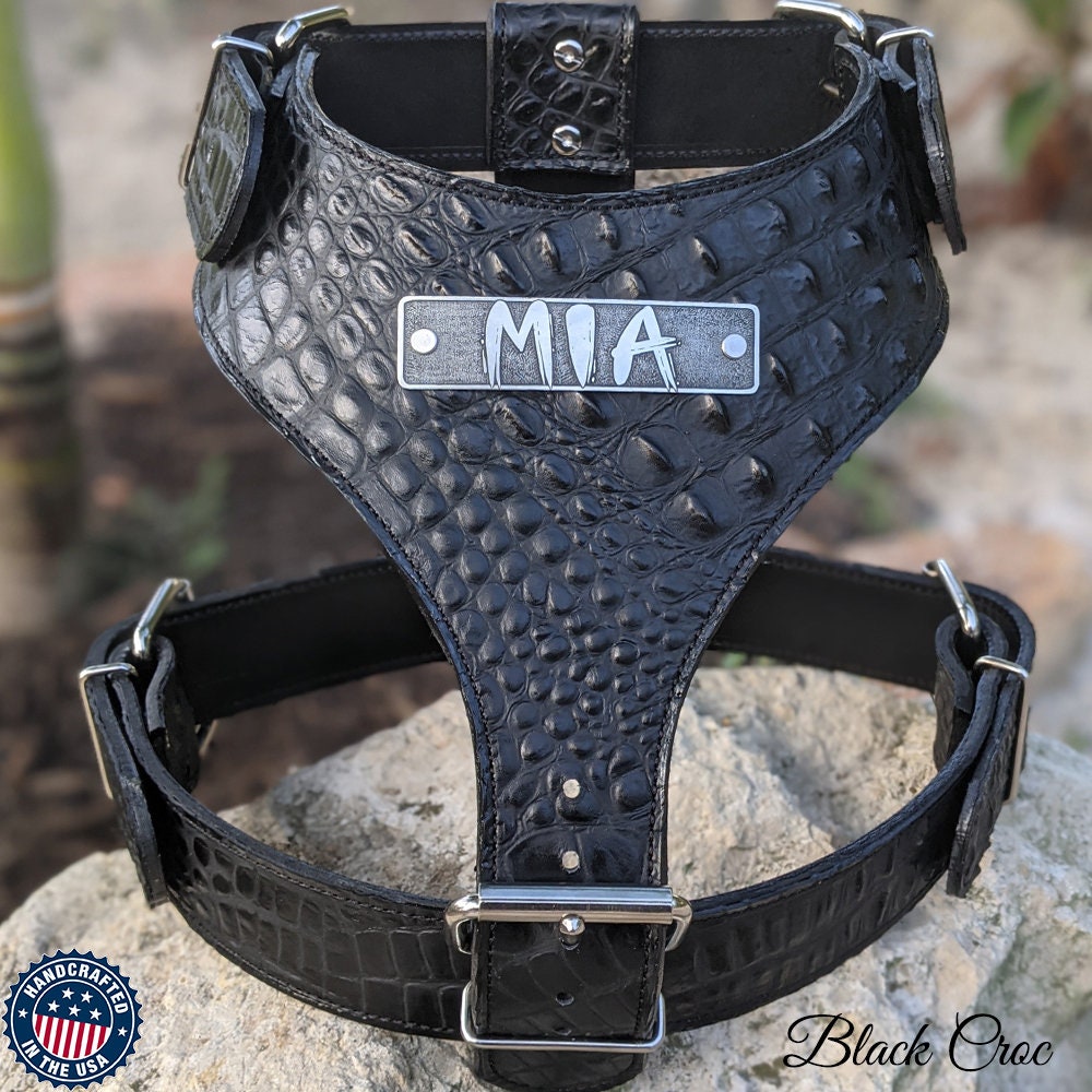 An application scenario or product detail of custom leather dog harness - Image 12