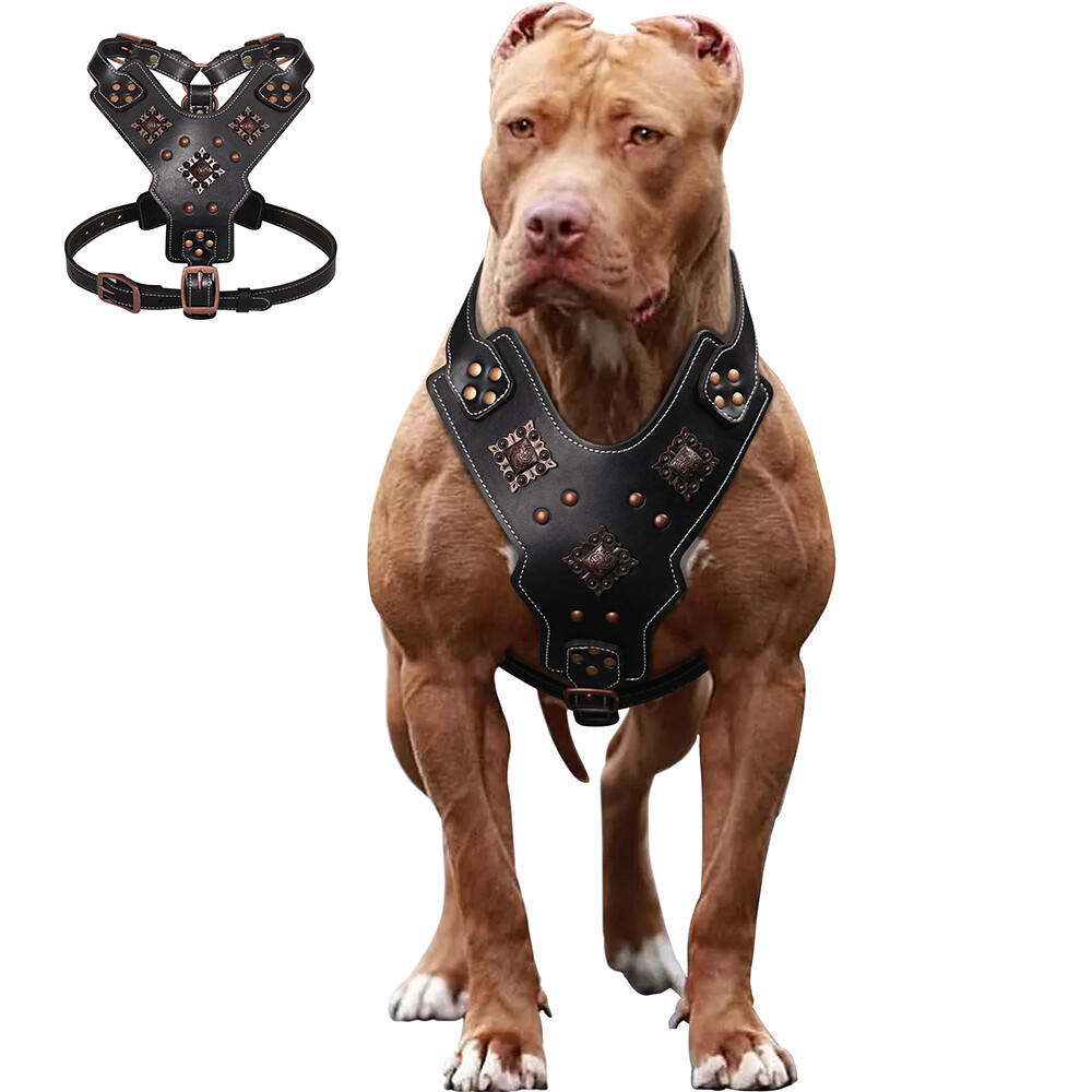 An application scenario or product detail of custom leather dog harness - Image 15