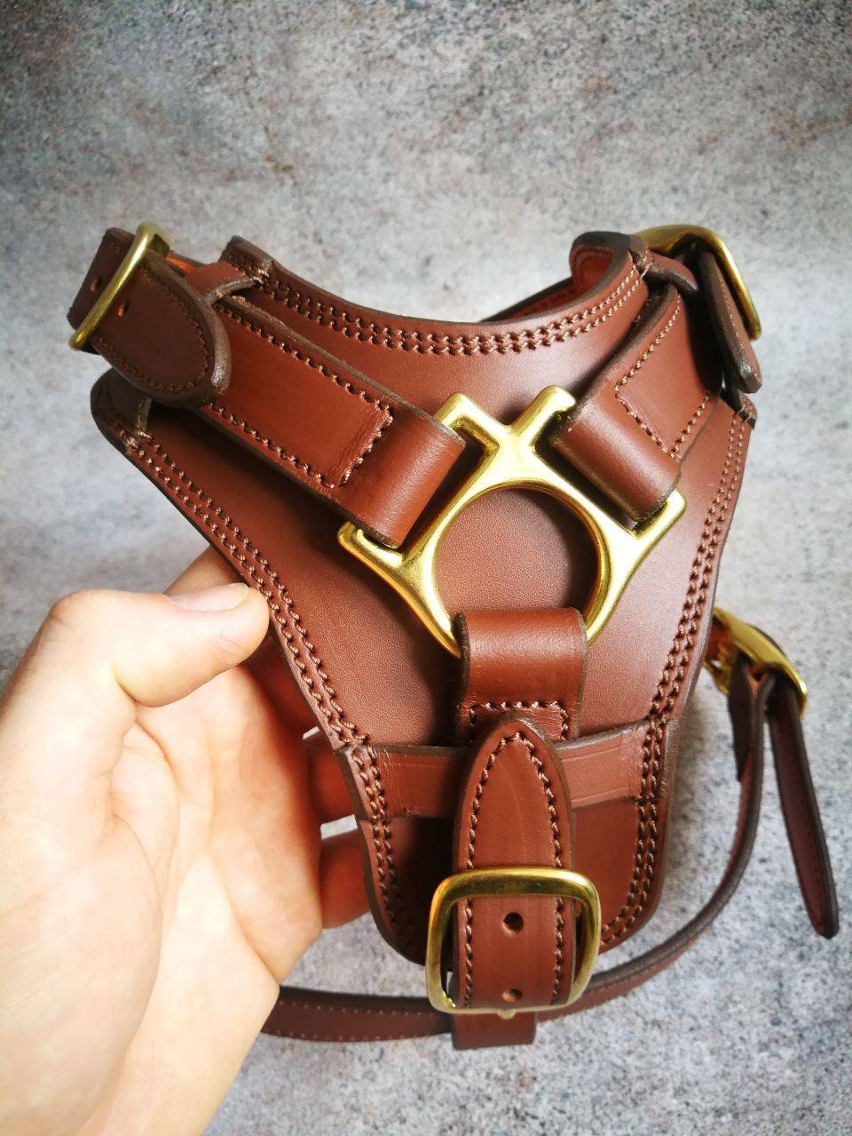 An application scenario or product detail of custom leather dog harness - Image 16