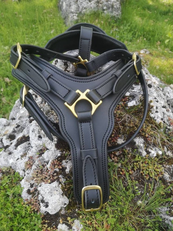 An application scenario or product detail of custom leather dog harness - Image 17
