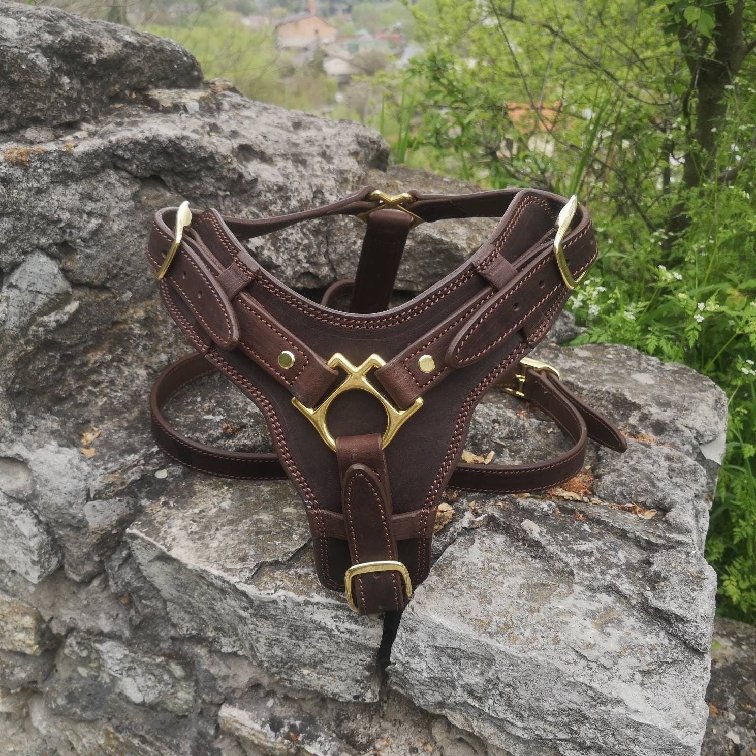 An application scenario or product detail of custom leather dog harness - Image 19