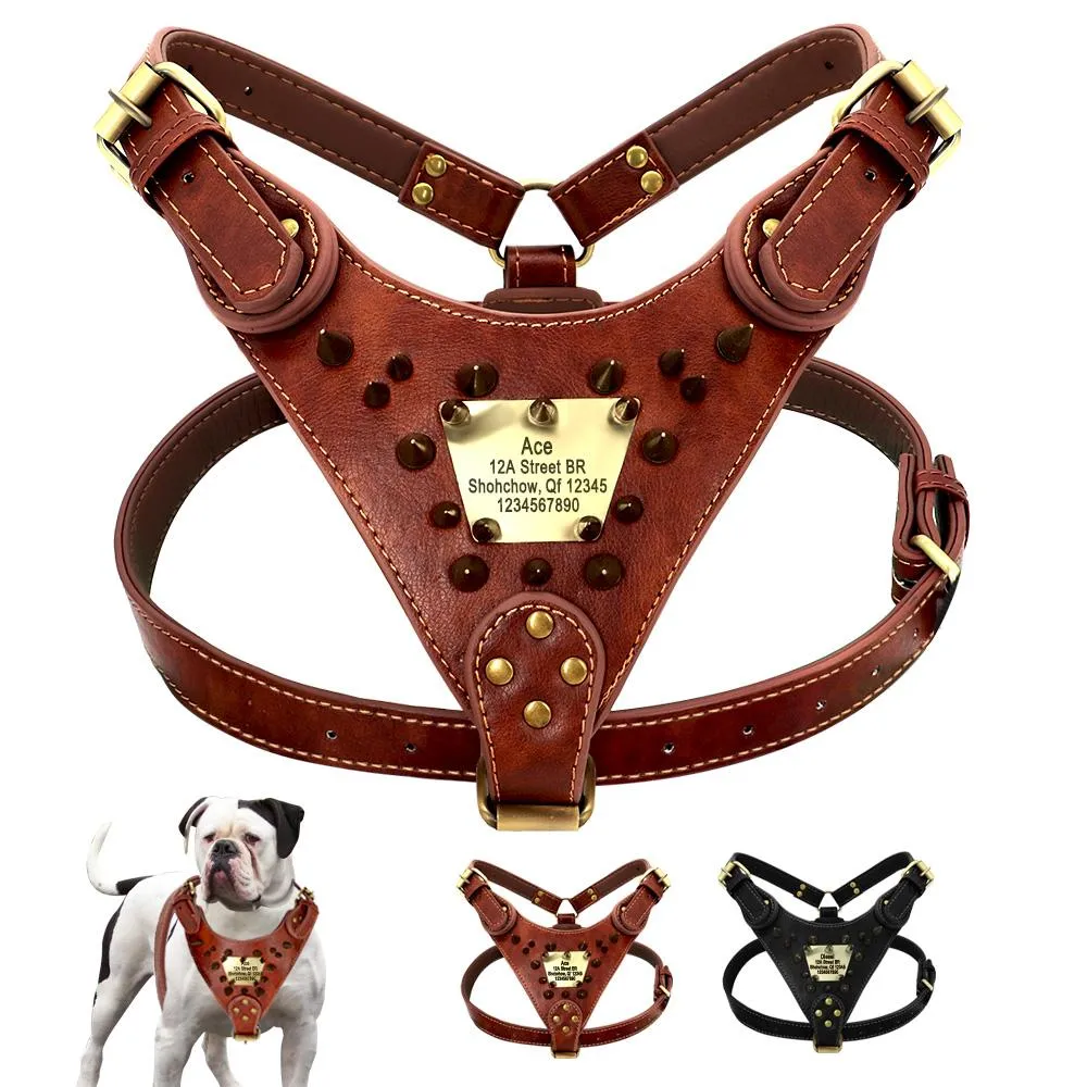 An application scenario or product detail of custom leather dog harness - Image 22