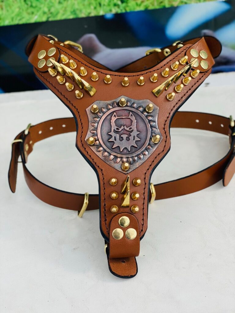 Featured image for the custom leather dog harness guide