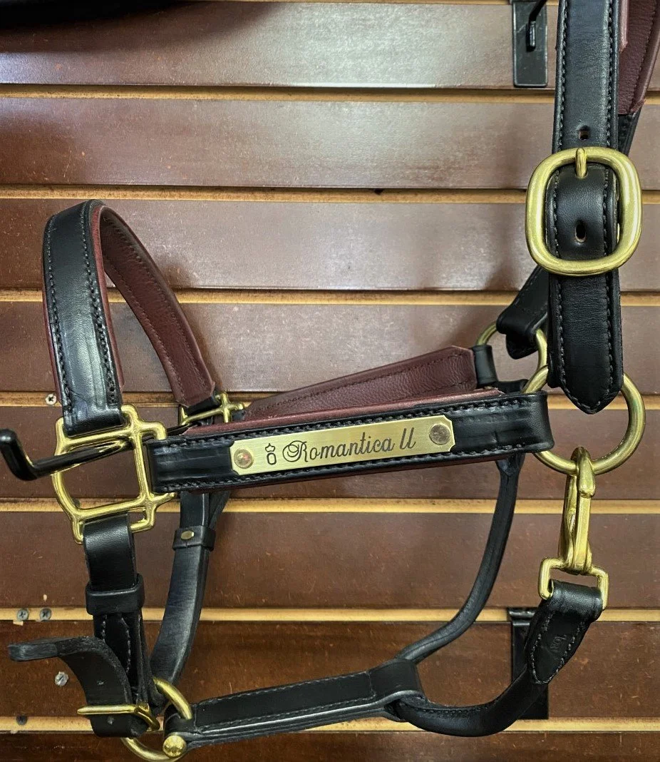 An application scenario or product detail of custom leather halters - Image 13