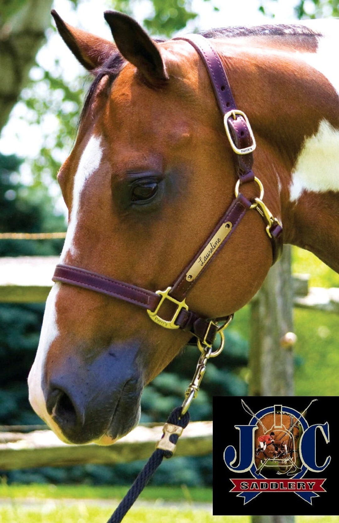 An application scenario or product detail of custom leather horse halters - Image 3