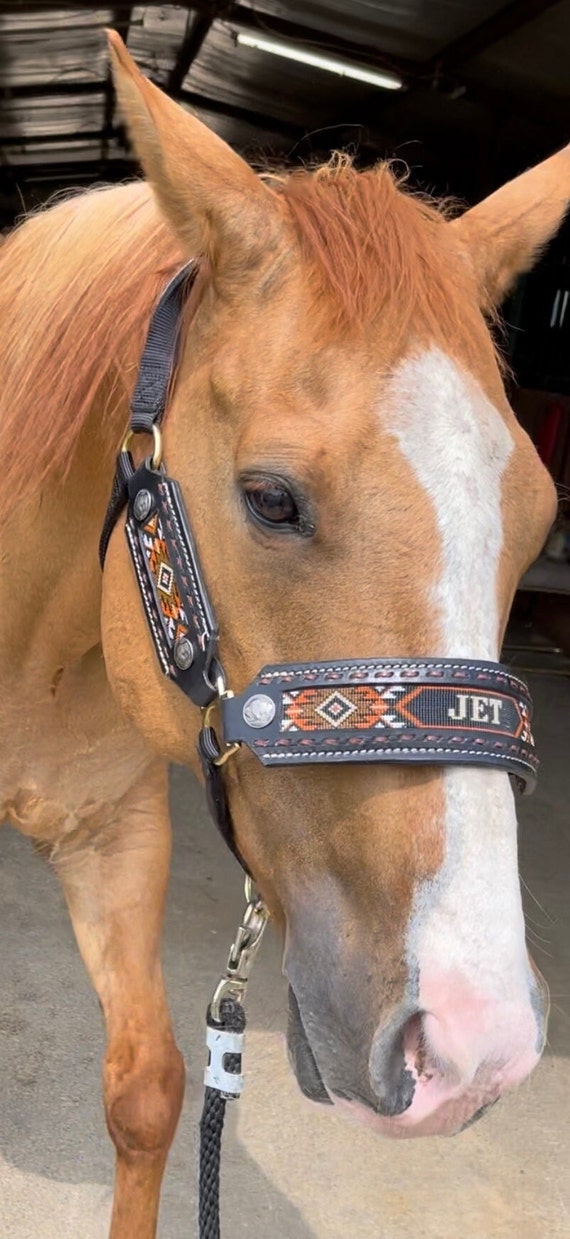 An application scenario or product detail of custom leather horse halters - Image 4