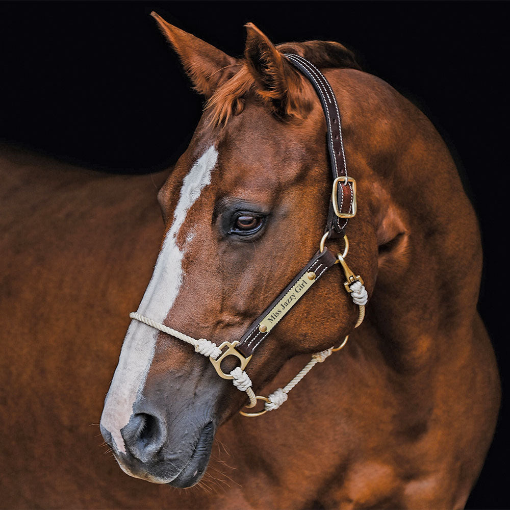 An application scenario or product detail of custom leather horse halters - Image 11