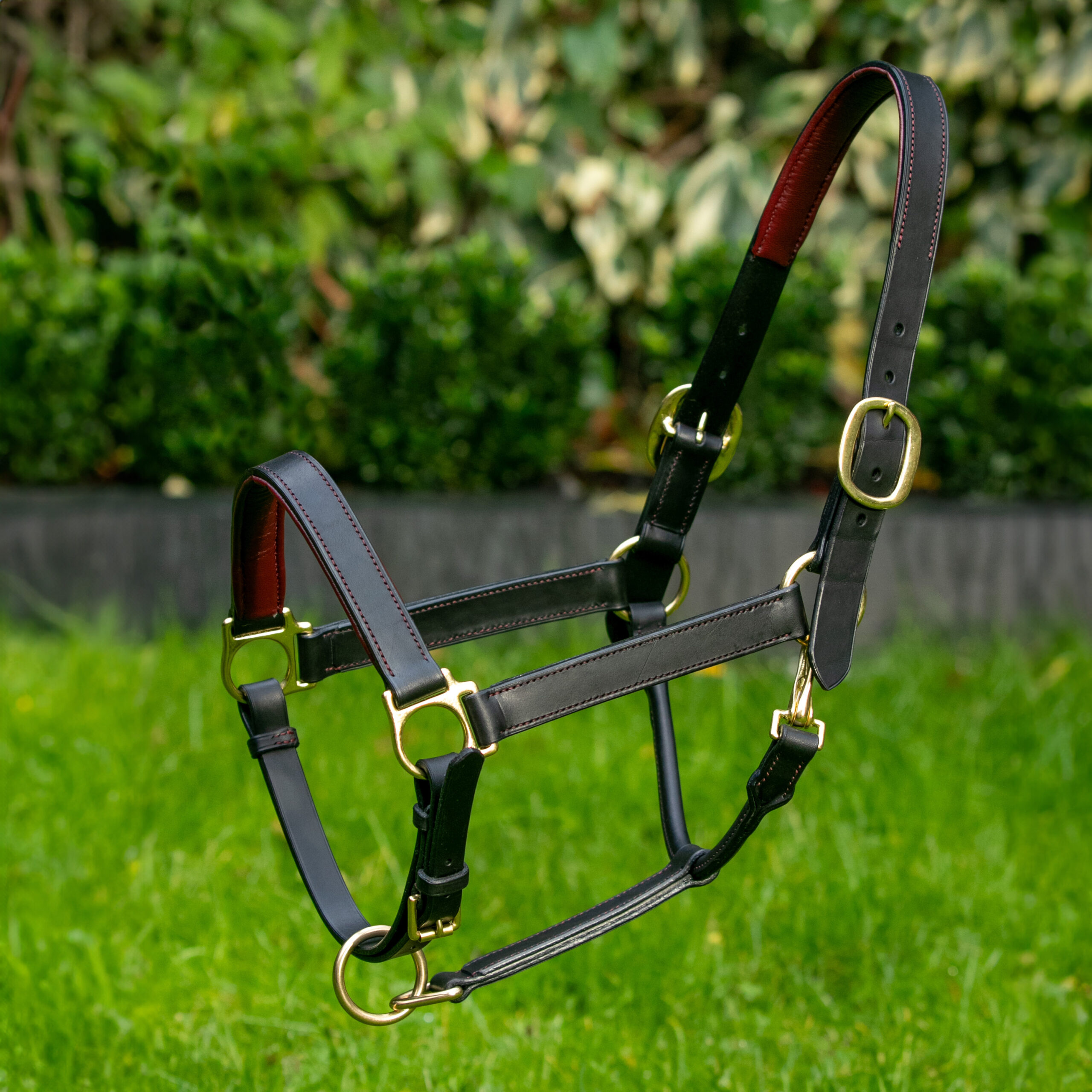 An application scenario or product detail of custom leather horse halters - Image 12
