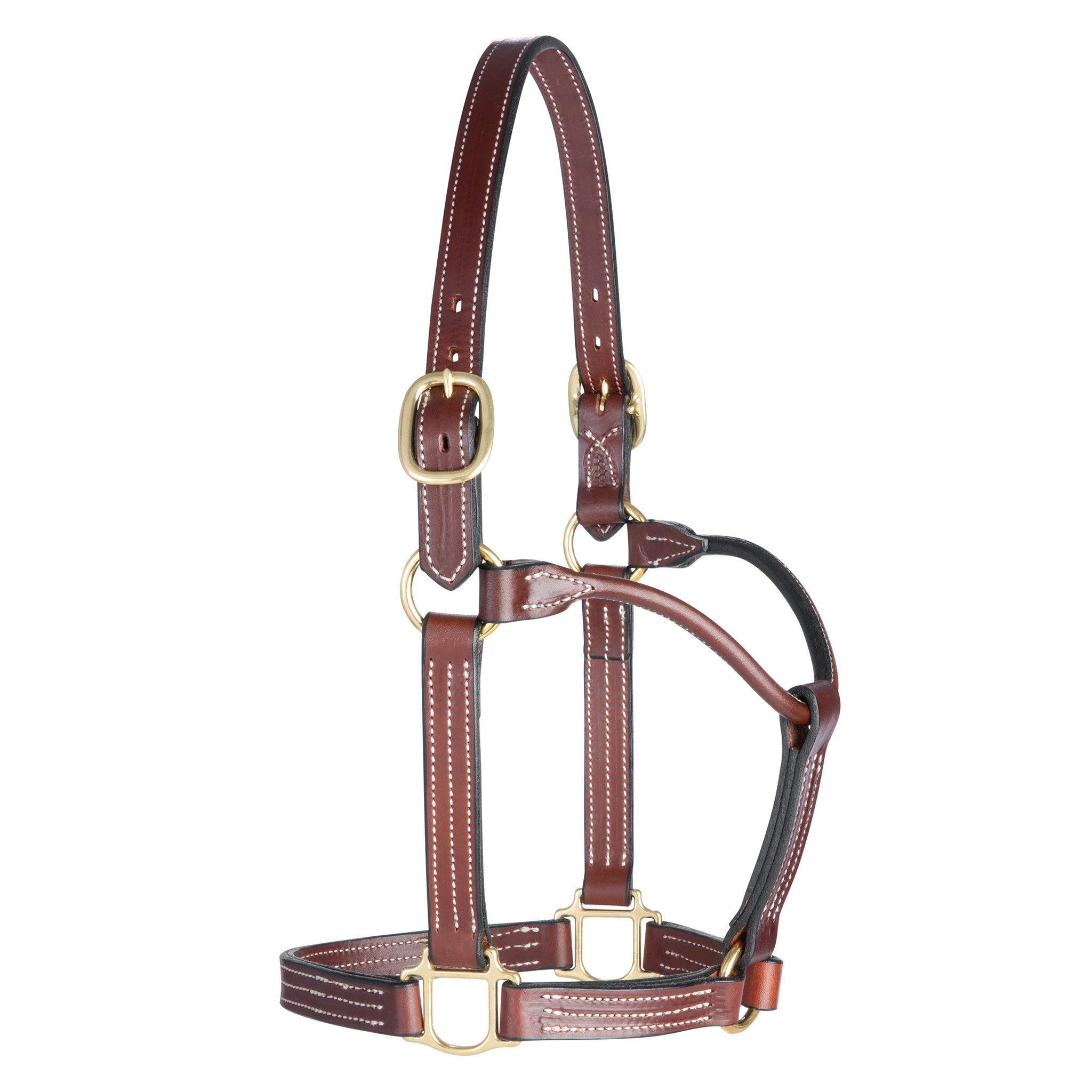 An application scenario or product detail of custom leather horse halters - Image 15