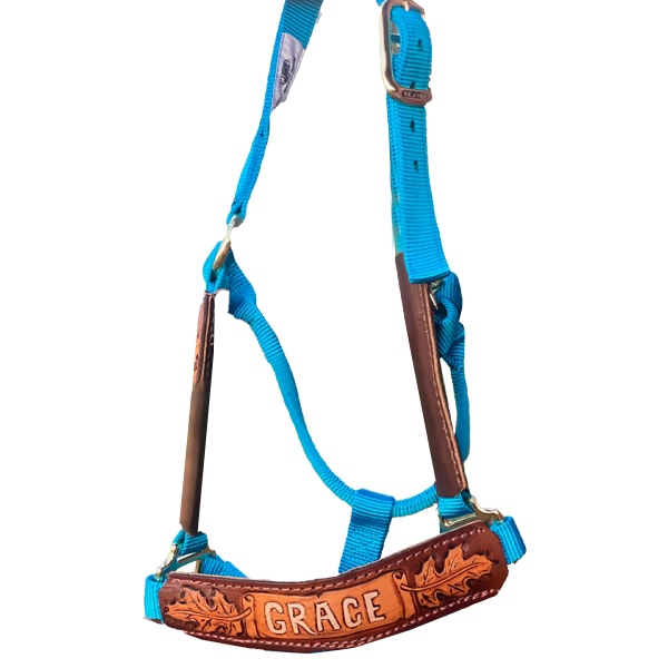 An application scenario or product detail of custom leather horse halters - Image 16