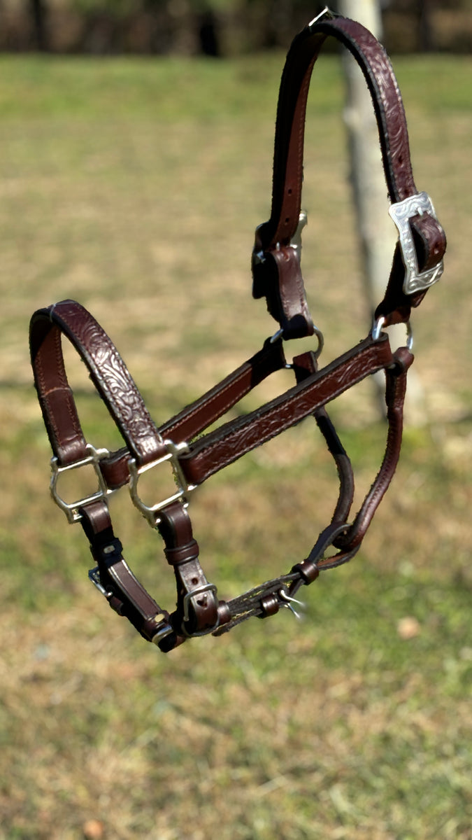 An application scenario or product detail of custom leather horse halters - Image 21