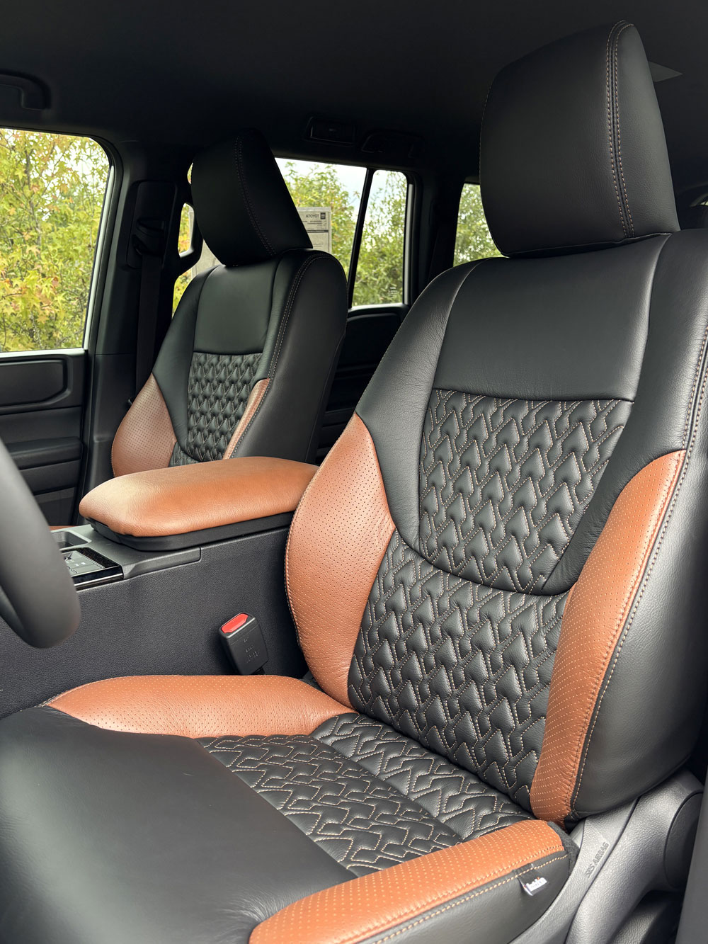 An application scenario or product detail of custom leather interior - Image 17