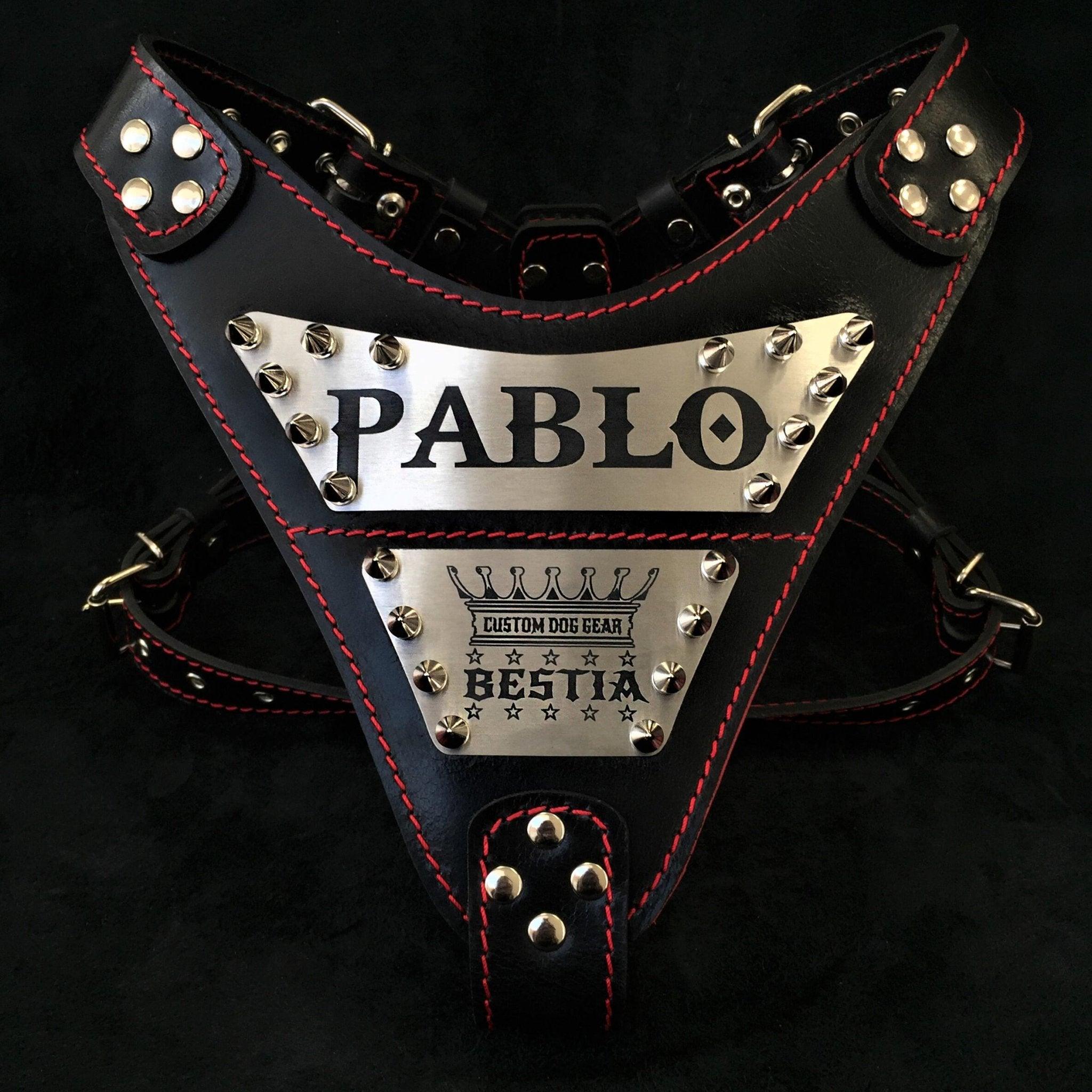 An application scenario or product detail of custom made leather dog harness - Image 4