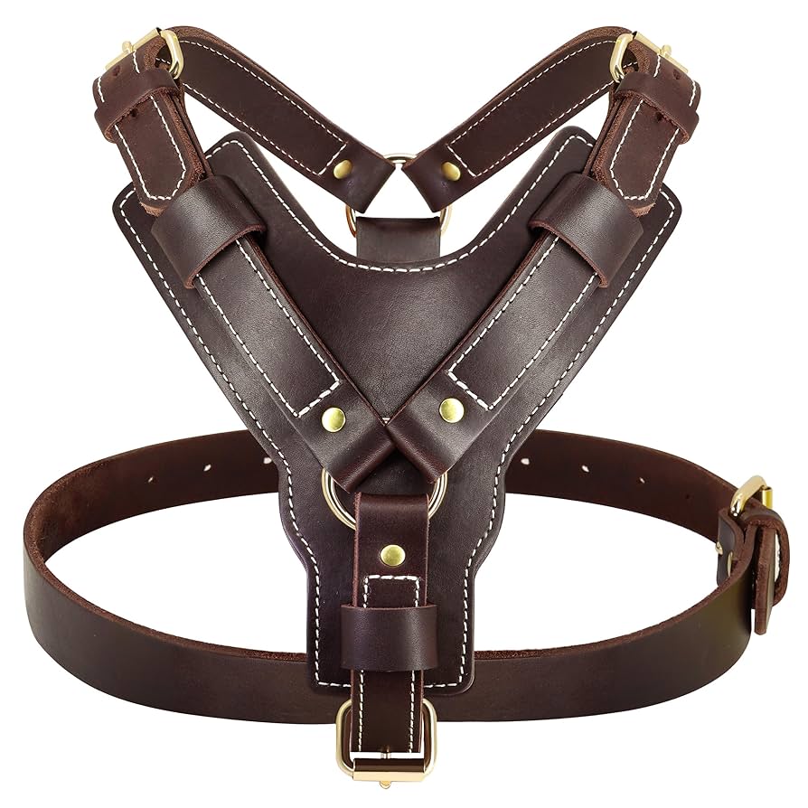 An application scenario or product detail of custom made leather dog harness - Image 6