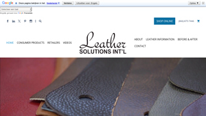 Leather Solutions International - Professional Leather Care Products