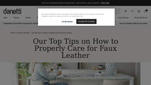 Danetti - Faux Leather Care