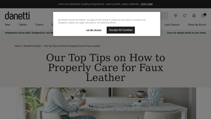 Danetti - Faux Leather Care Guide