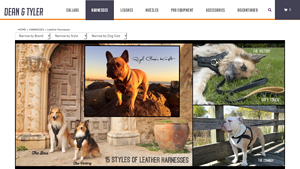 DTD Dog Collars - The Victory Leather Harness