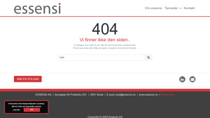 Essensi - Custom Helmet Shield 21