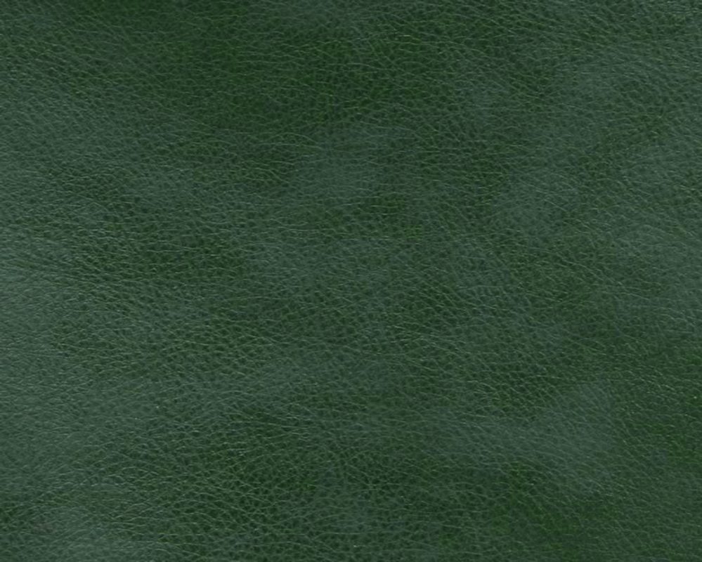 An application scenario or product detail of green leather fabric - Image 11