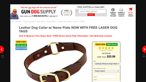 Gun Dog Supply - Leather Dog Collar with Name Plate