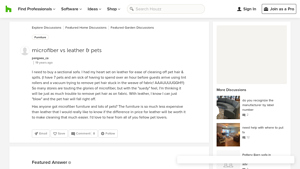 Houzz - Leather Couches