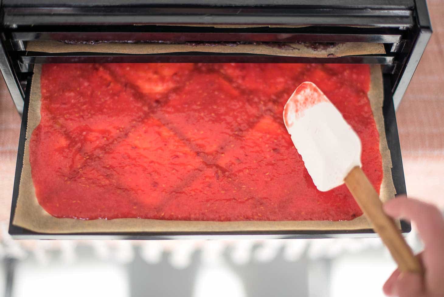 An application scenario or product detail of how do i make fruit leather - Image 9