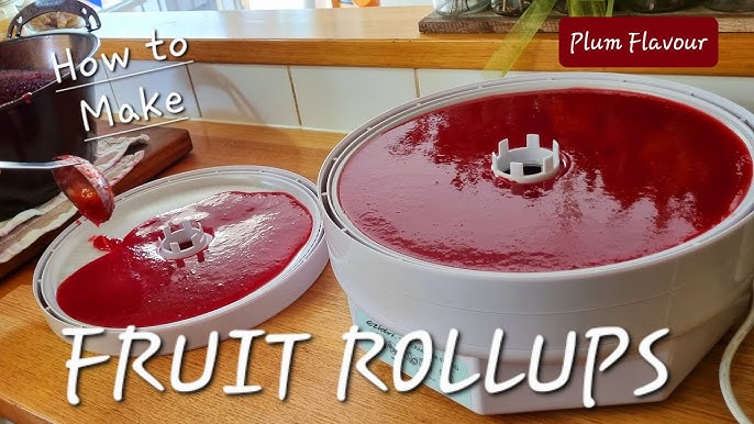 An application scenario or product detail of how do i make fruit leather - Image 23