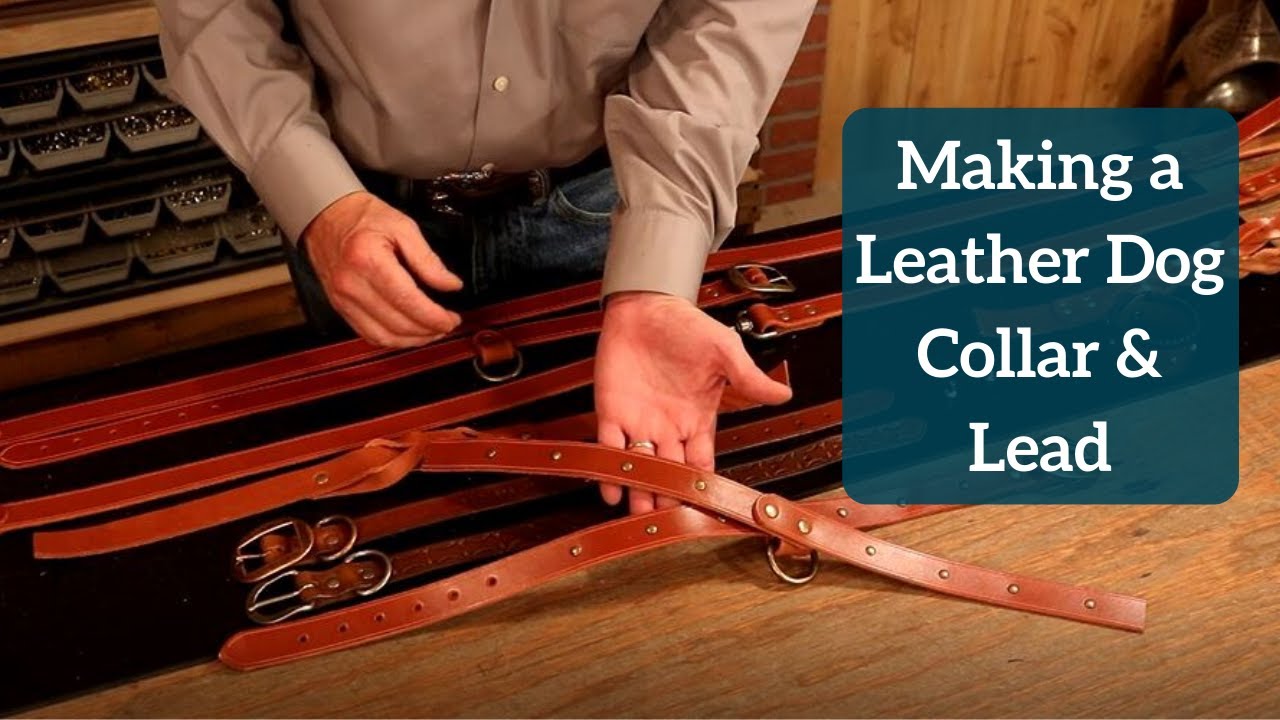 An application scenario or product detail of how to make a leather dog collar - Image 14