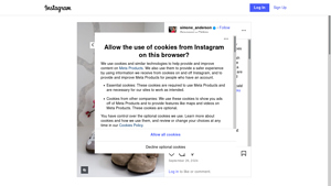 Instagram - Scraping Services