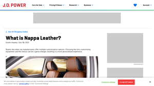 J.D. Power - Nappa Leather Insights