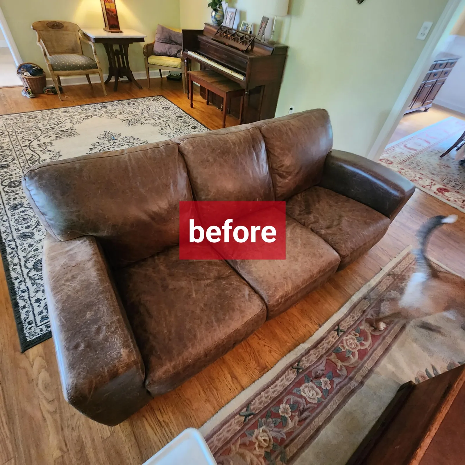 An application scenario or product detail of leather chair cleaning service - Image 4